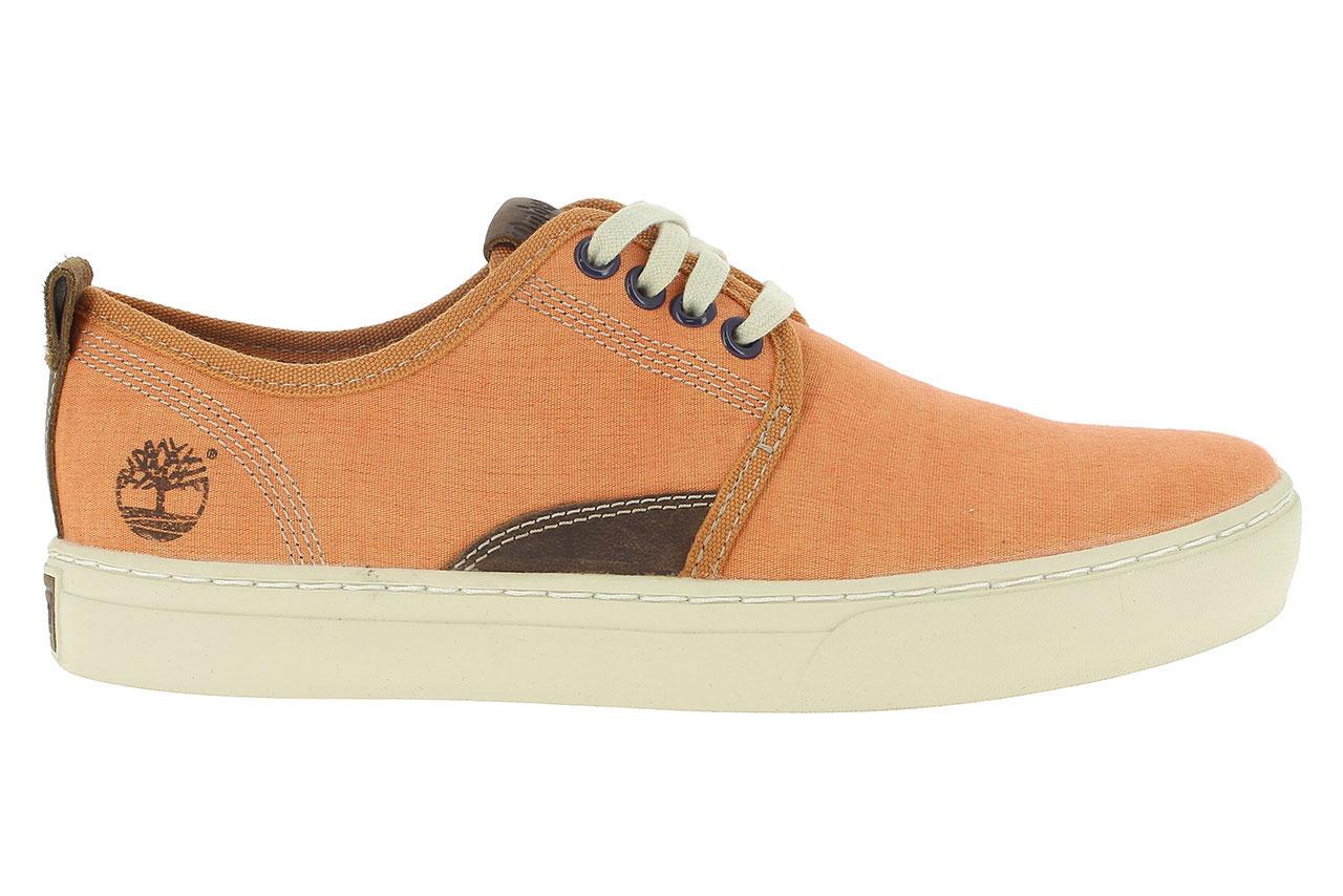 zapatos tenis timberland