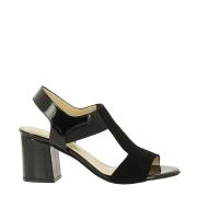 Fratelli Milloreti D 561 S